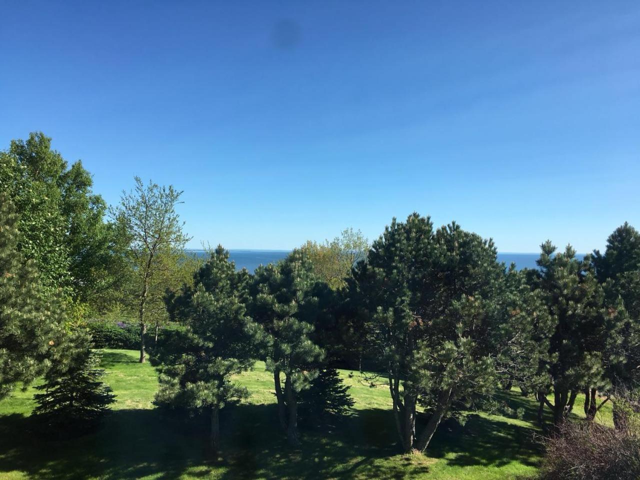 Seaview White House Bed & Breakfast Stratford Luaran gambar